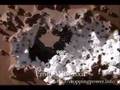12 ga shotgun with birdshot vs Front Indoor walll