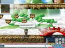 Maple Randomness 1