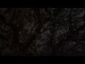 The Orbweavers - Loom