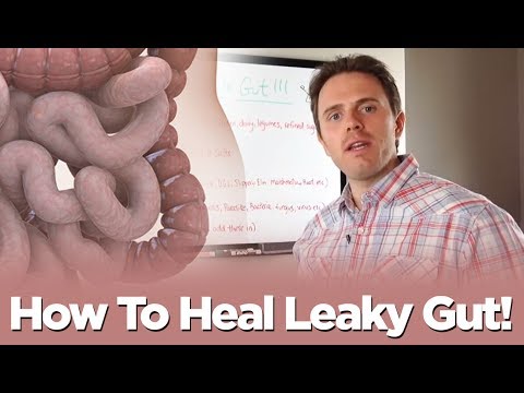 how to rebuild gut