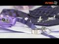 Juliet launched jewlry Brand Persona Homme