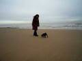 Bobbie plays fetch on the beach