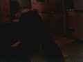 pinkkt singing safe keeping by candice jarrett