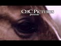 l'histoire d'une passion pr�coce: depuis les caresses sur des chevaux jusqu'aux premiers galops sur un poney. hommage � ma fille

the story of a precocious passion: from the caresses on horses to the firsts gallops on a poney. tribute to my daughter

horse whisperer