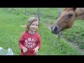 l'histoire d'une passion pr�coce: depuis les caresses sur des chevaux jusqu'aux premiers galops sur un poney. hommage � ma fille

the story of a precocious passion: from the caresses on horses to the firsts gallops on a poney. tribute to my daughter

horse whisperer