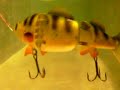 Onderwater opname Jenzi Swimbait