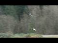 RC Afternoon FunJet Maiden Edition