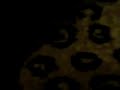 My Crazy Friend (Sneak Peek)