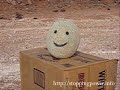 12 gauge shotgun (buckshot) vs Cantaloupe