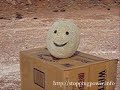 12 gauge shotgun (buckshot) vs Cantaloupe