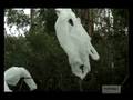 videos de The Majesty of the Wetlands