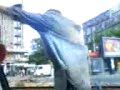 mare talent de baiat mare talent de baiat