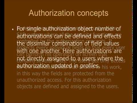 how to provide authorization in sap