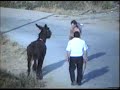Carrera de Burros en El Poyo de Aliste 1991 Carrera de Burros en El Poyo de Aliste 1991