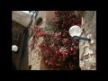 Yaffo_Bat_Yam_Israel.mpg:YouTube������=43��