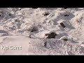 2007 usfreeskiing tour stop : squaw valley