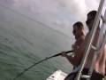 SUPER HUGE Goliath Grouper (Jewfish) from Florida