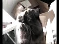 Smooshy loves Petromalt Smooshy loves Petromalt