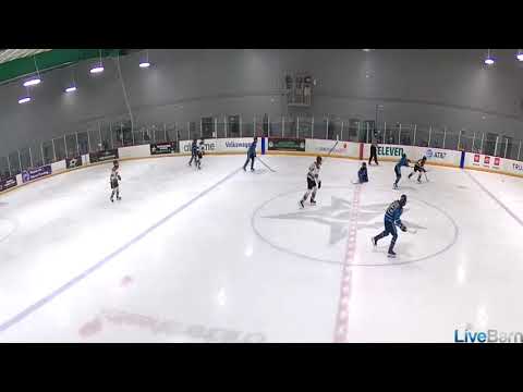 10/12/2024 Palm Beach Hawks 14AA - StLouis Stings 14AA