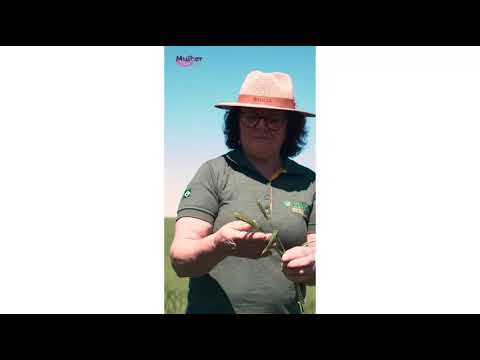 Juntas semeamos o amanhã - Neiva Cenci Tesser
