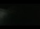 Feux d\ Feux d\