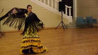 Flamenco Dance Videos
