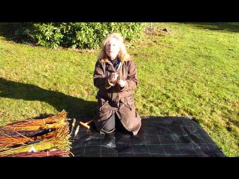 how to transplant a twisted willow