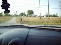 VR6 Beetle