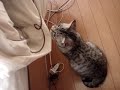 Atushi want to get into my bed