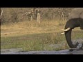 Highlights by GrassTrack Safaris