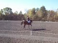 VHT Fall 2007 Dressage