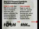 Biofuel - Food For Thought