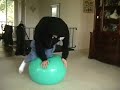 The Excersize ball of death