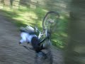 Boyette Bike Crash