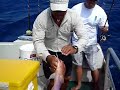 Molokai fishing 2