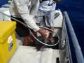 Molokai fishing 2