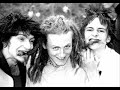 les betteraves-les jeunes