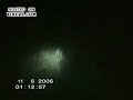 strange entity found in south american forest