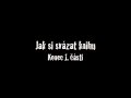Šití knihy