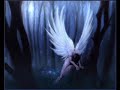 I Watched You Fall-Meredith Brooks