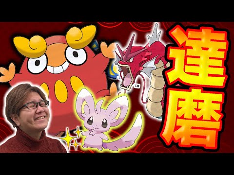 動画