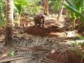 videos de Relevance of Rain Water harvesting