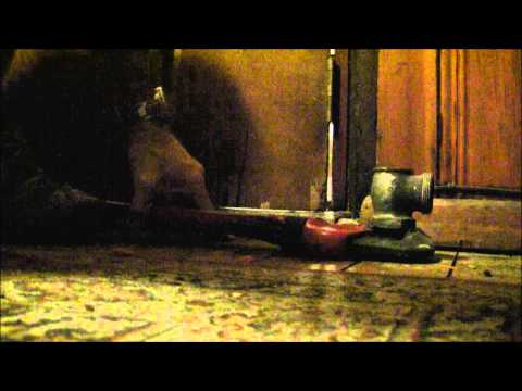 how to adjust steam radiator