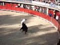 sabri alouani - taureau - lunel