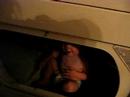 in the dryer