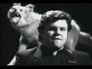 Dennis Leary - Asshole