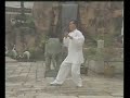 Funei Yang Style Taijiquan - Lao Jia 3/3 Funei Yang Style Taijiquan - Lao Jia 3/3