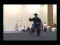 Wah Lum Tam Tui Northern Praying Mantis Kung Fu