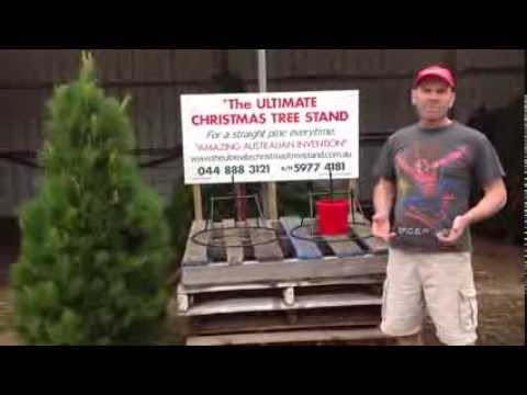 how to stand a christmas tree
