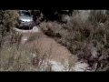 Renault Koleos video 2 automobilismo.it